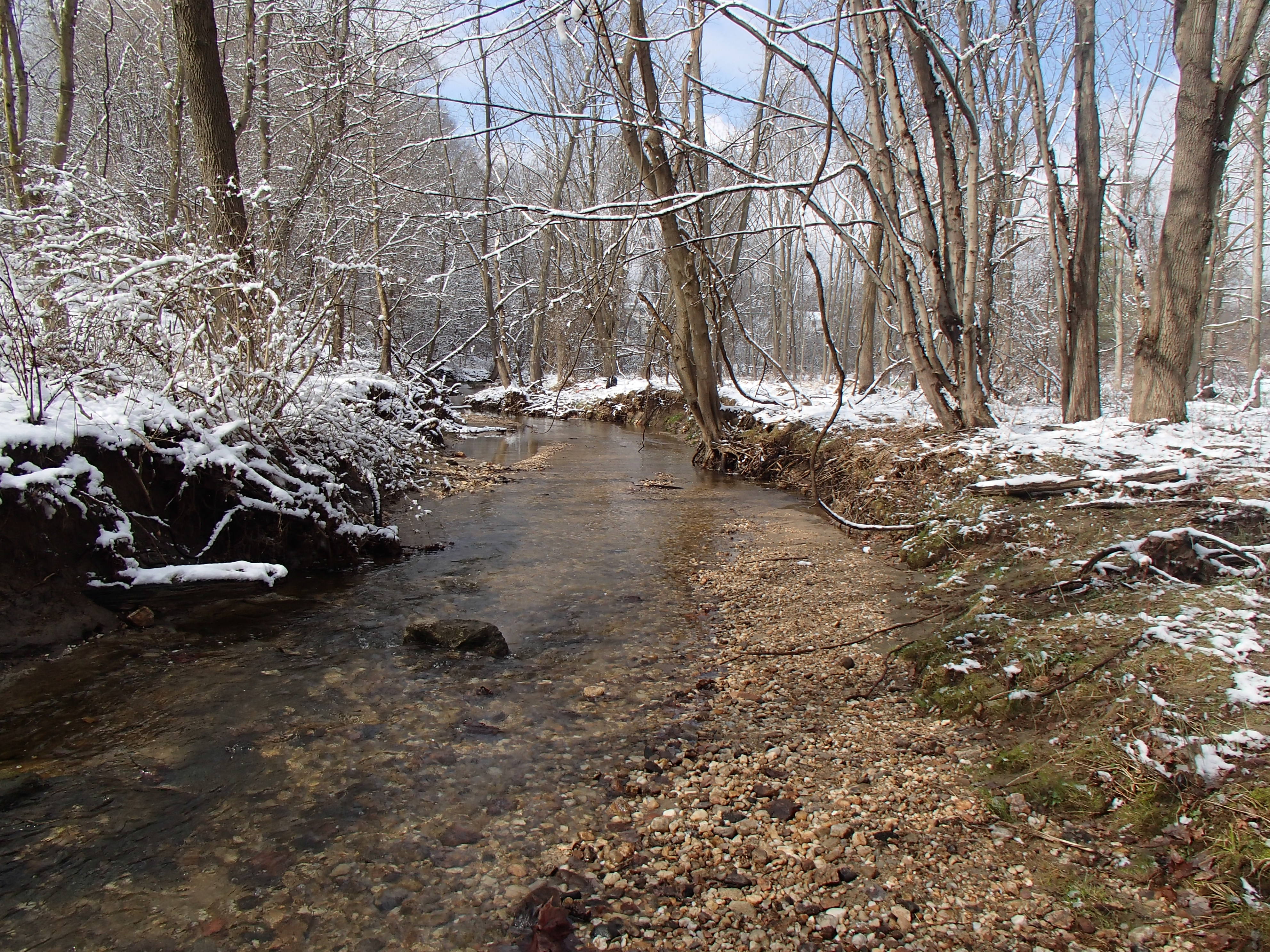 Field photo showing stream conditions at site LPAX-294-X-2016_Midpoint looking downstream